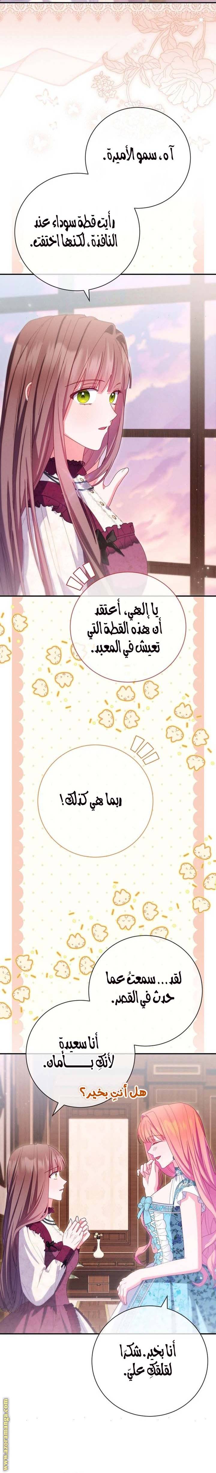 الصفحة 25