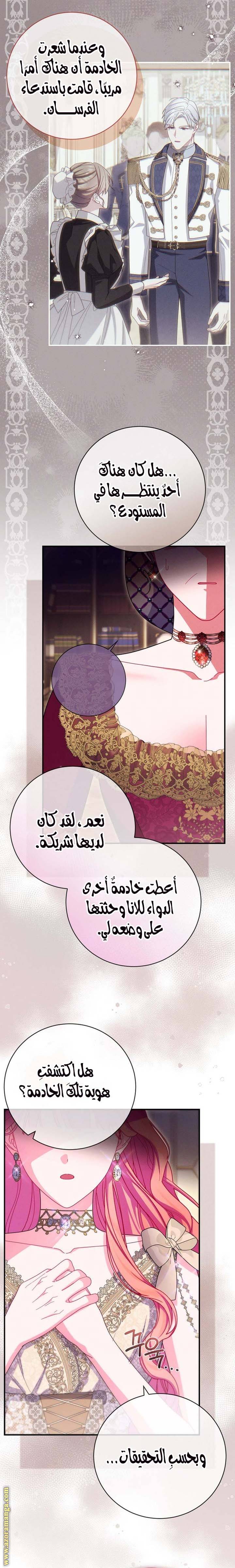 الصفحة 17