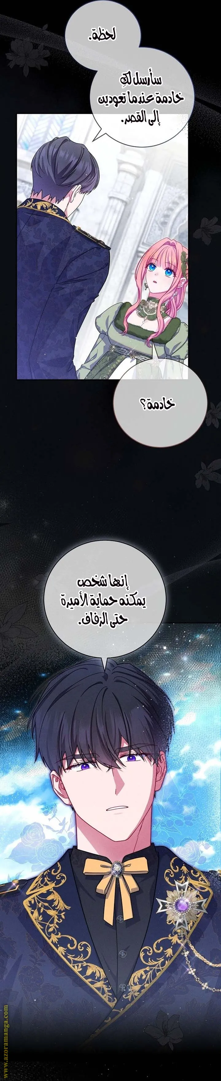 الصفحة 13