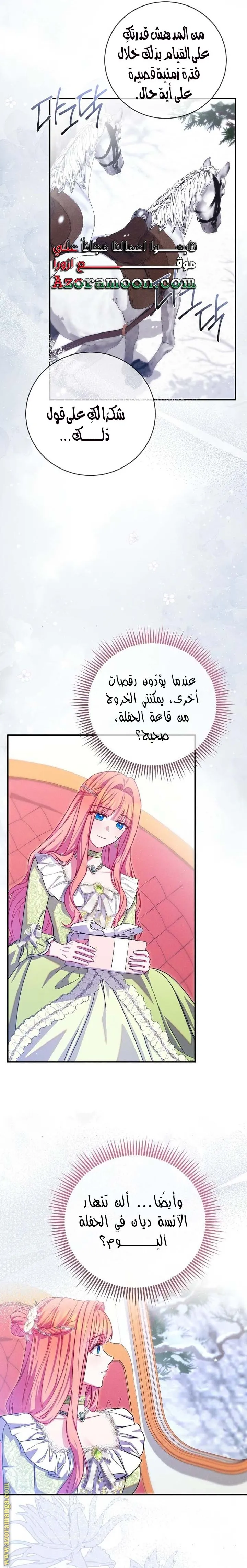 الصفحة 17