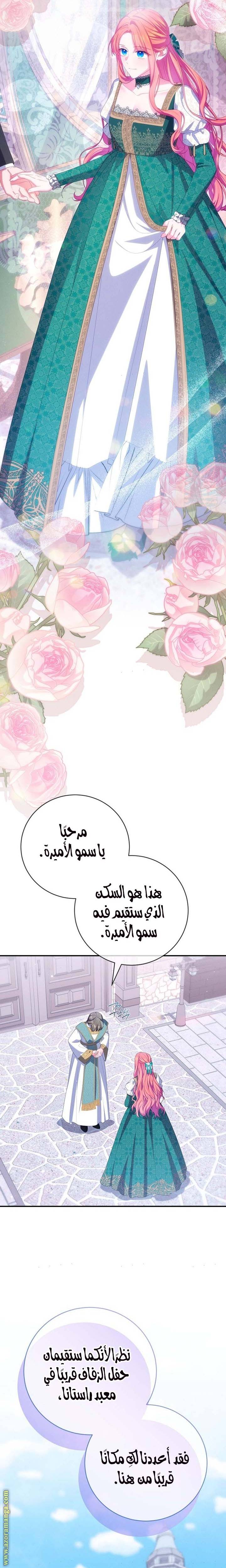 الصفحة 13