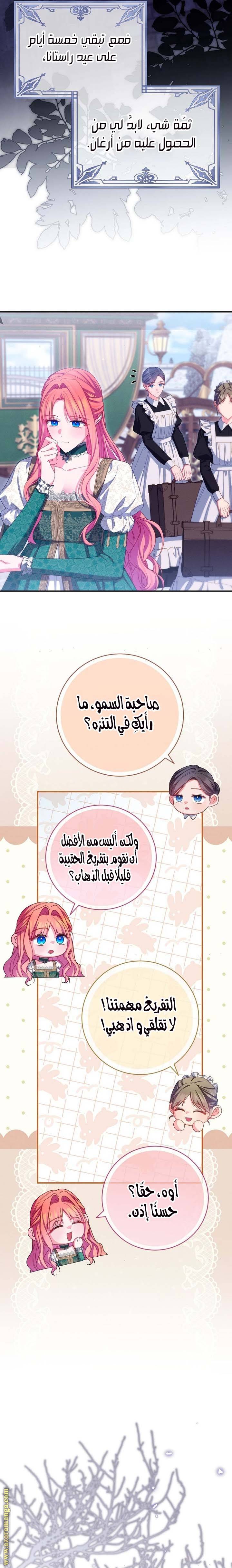 الصفحة 17