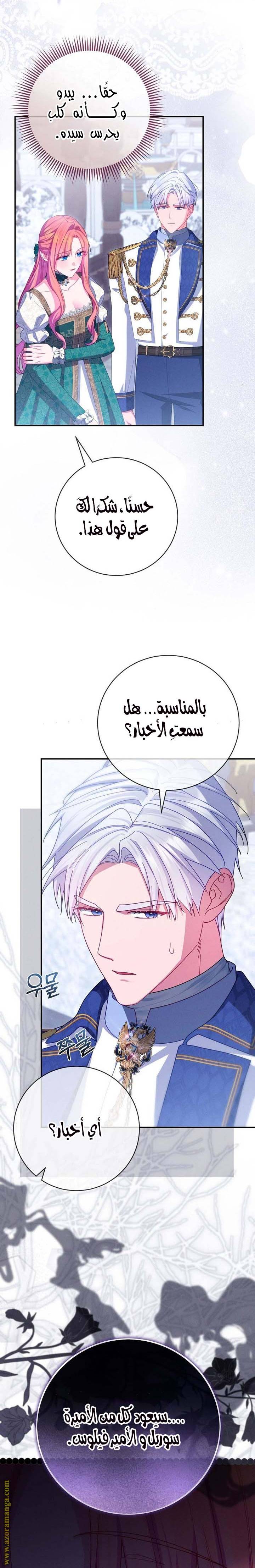 الصفحة 26