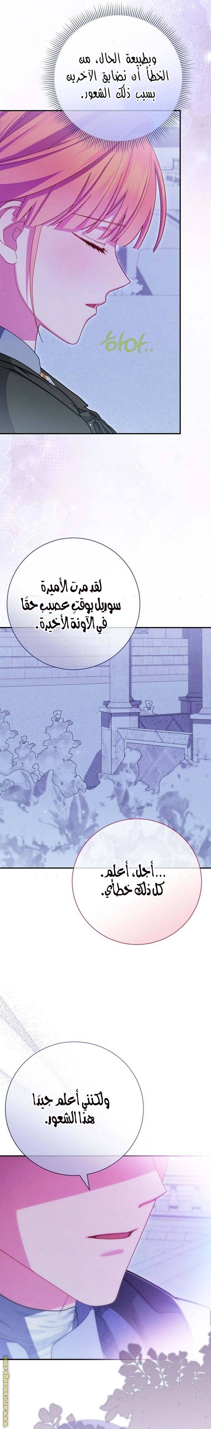 الصفحة 26
