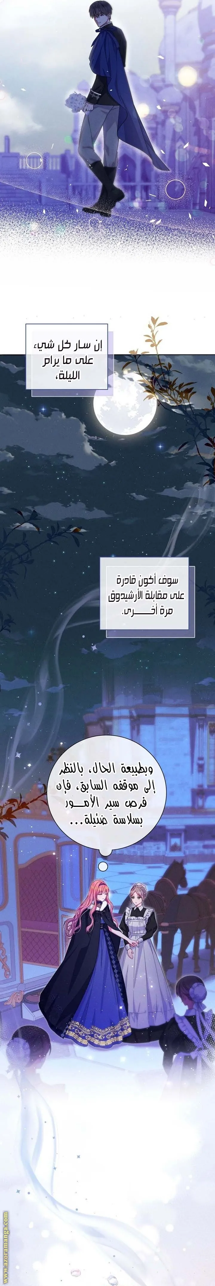 الصفحة 13