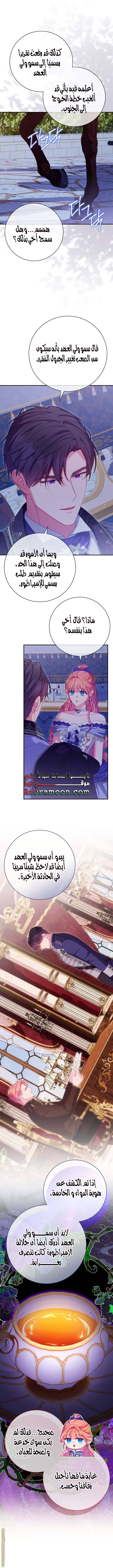 الصفحة 7