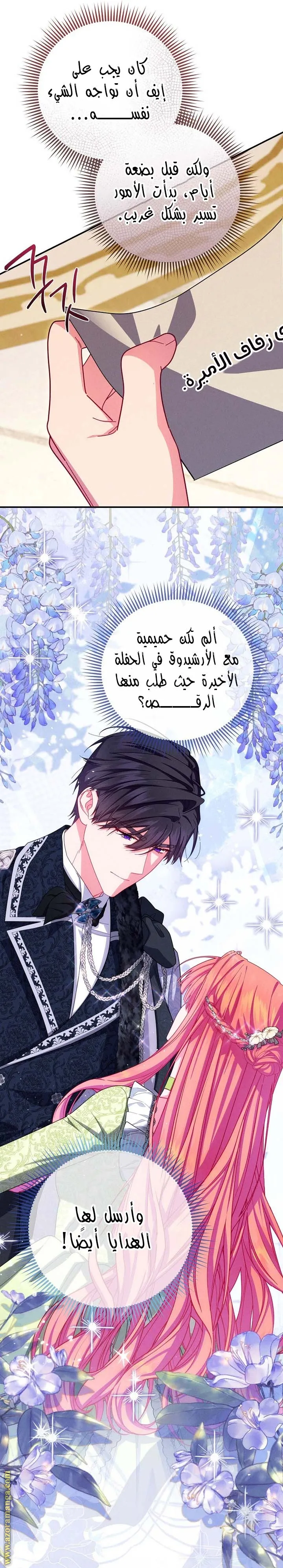 الصفحة 21