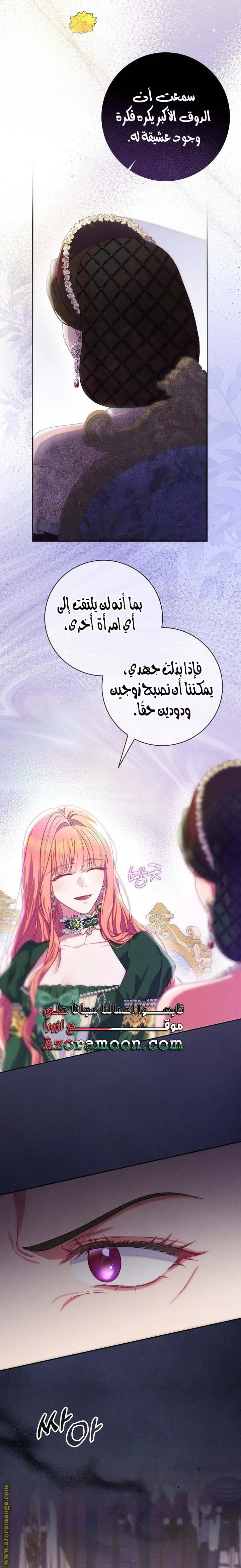 الصفحة 17