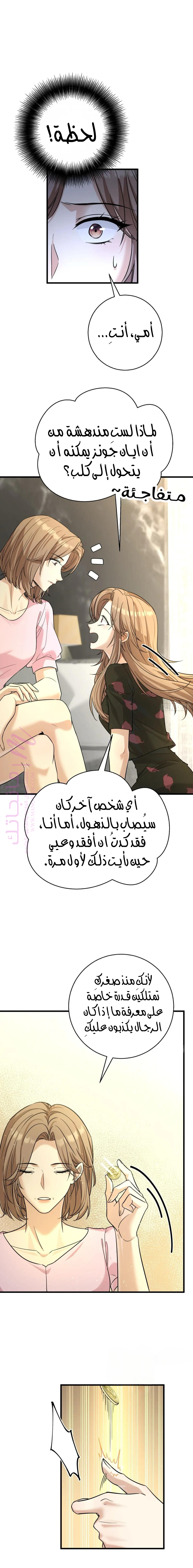 الصفحة 15