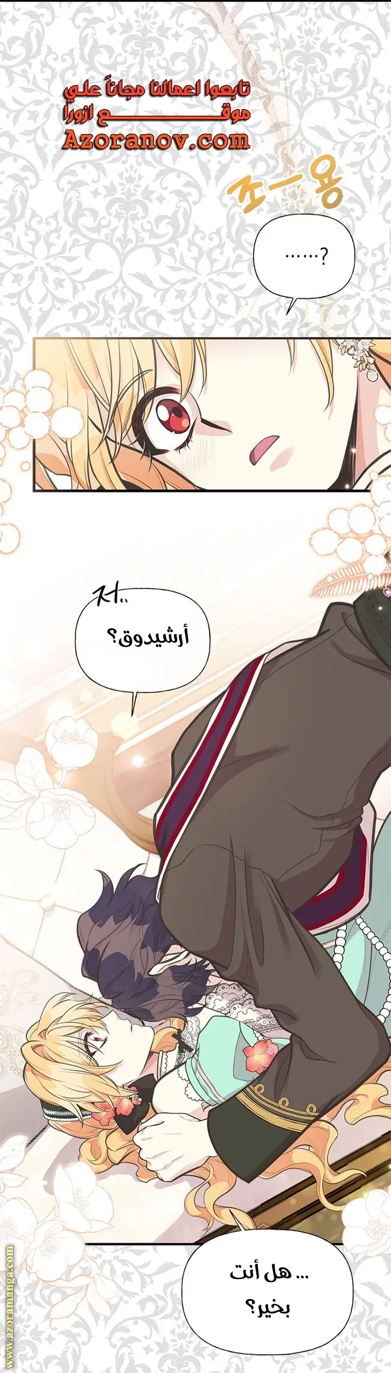 الصفحة 13