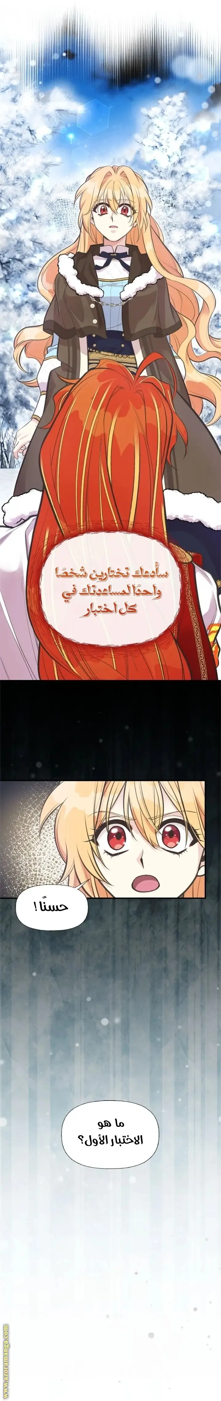 الصفحة 13