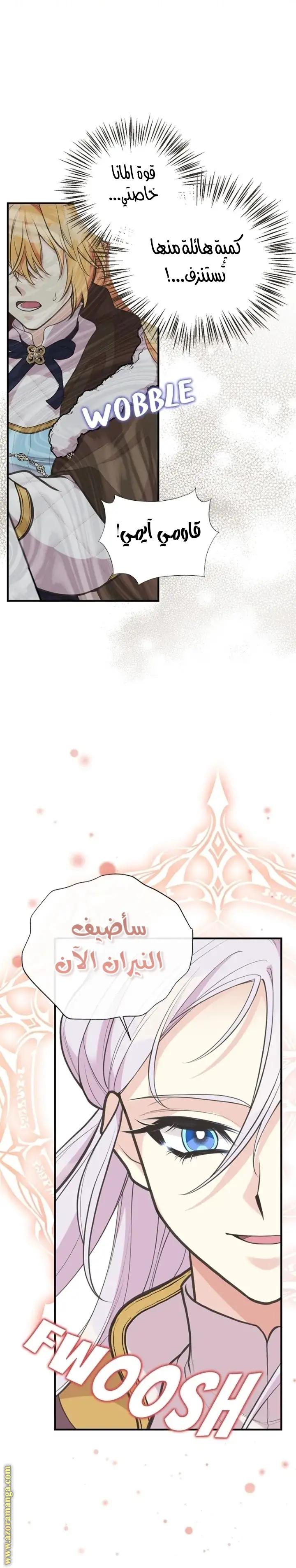 الصفحة 24
