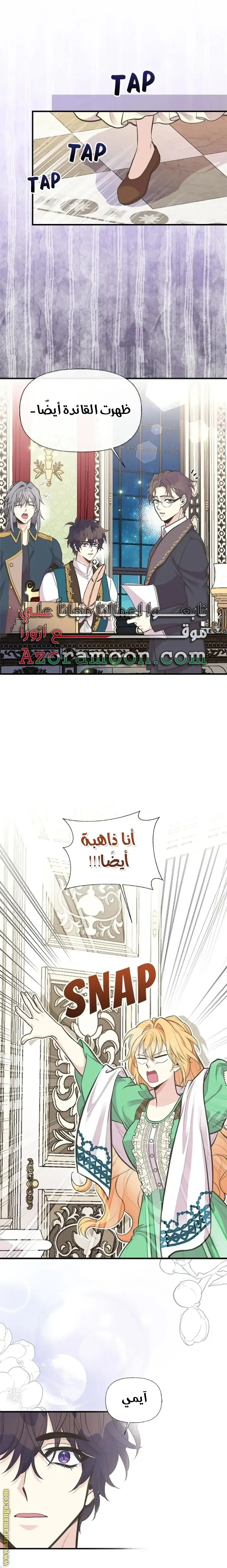 الصفحة 17