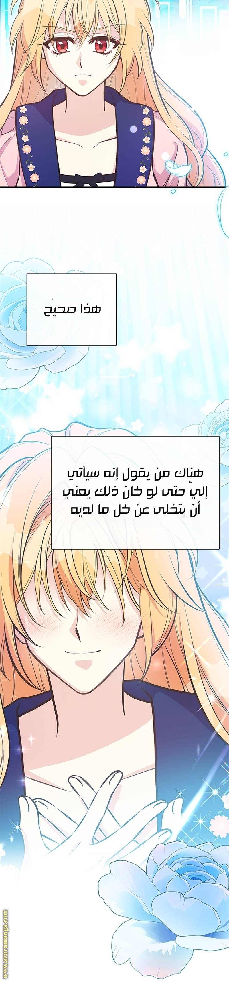الصفحة 29