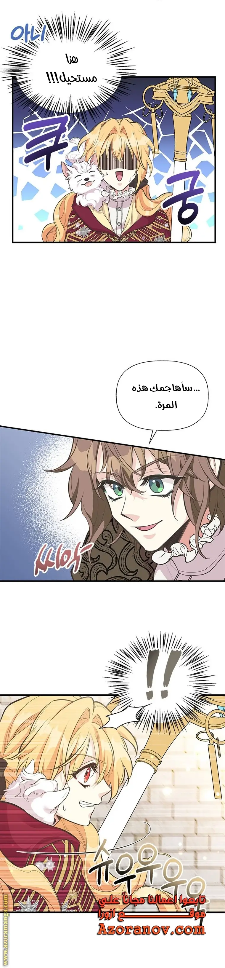 الصفحة 12