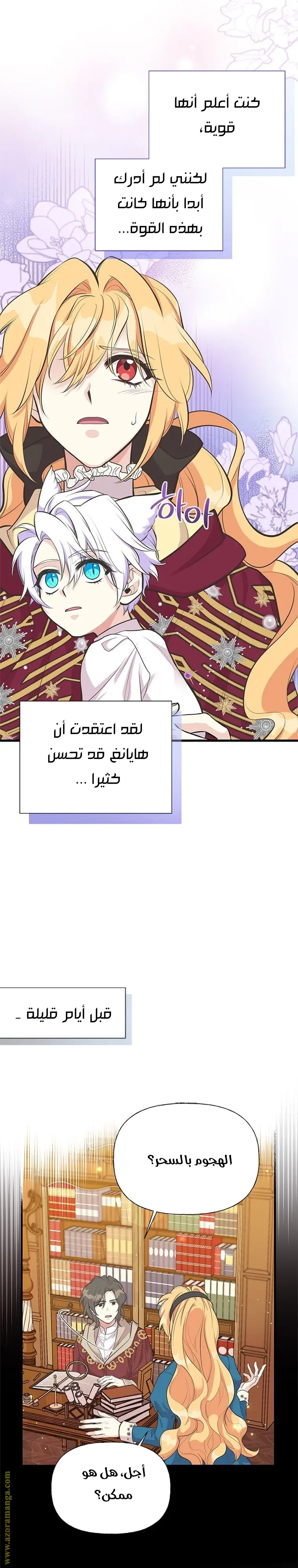 الصفحة 17