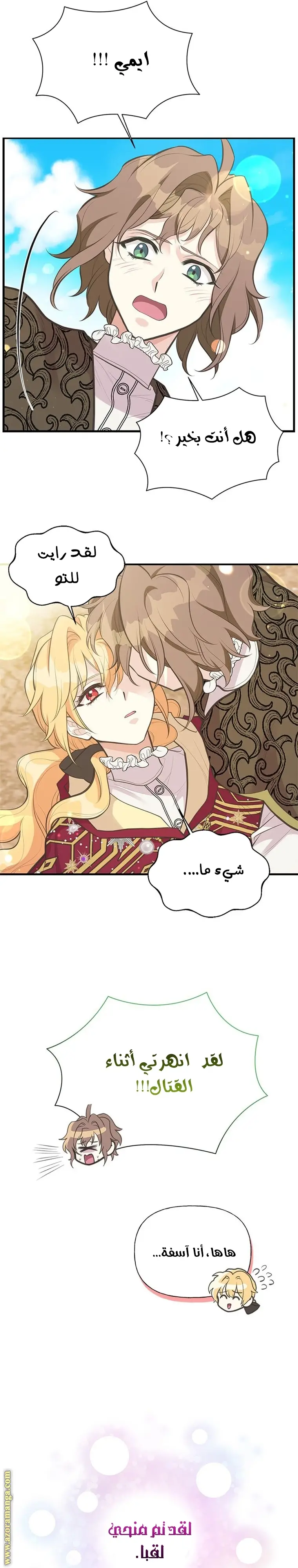 الصفحة 26