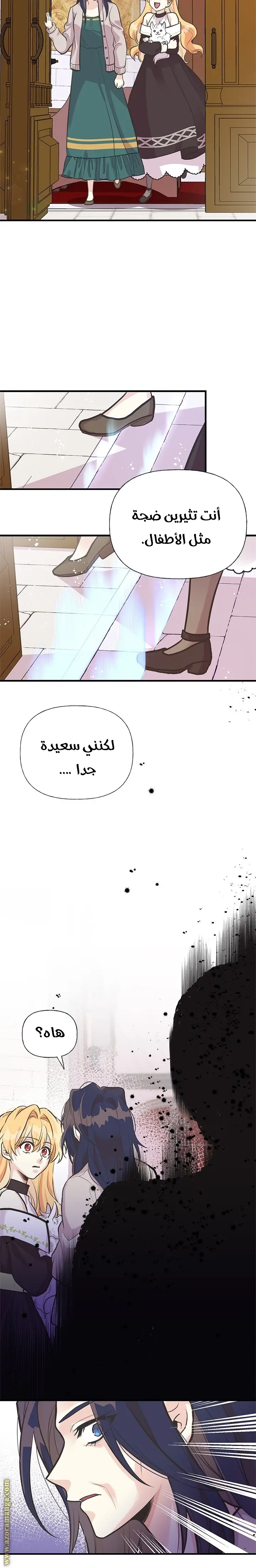 الصفحة 13