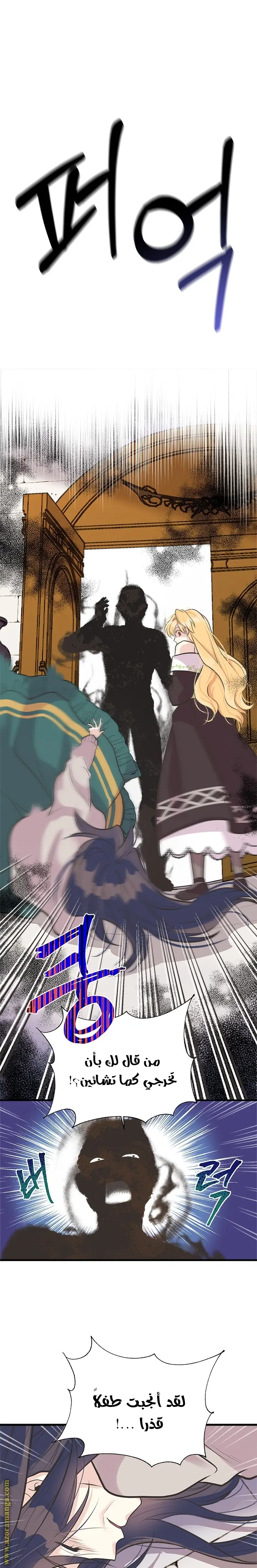 الصفحة 14