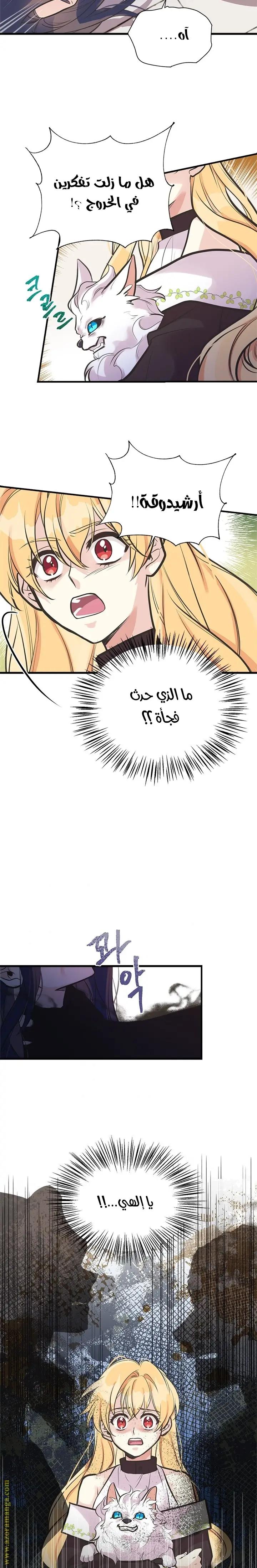 الصفحة 15