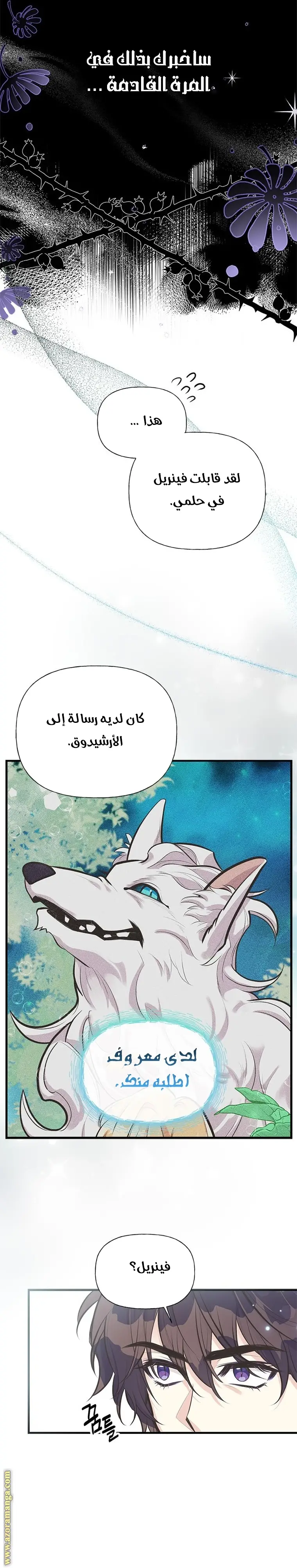 الصفحة 13