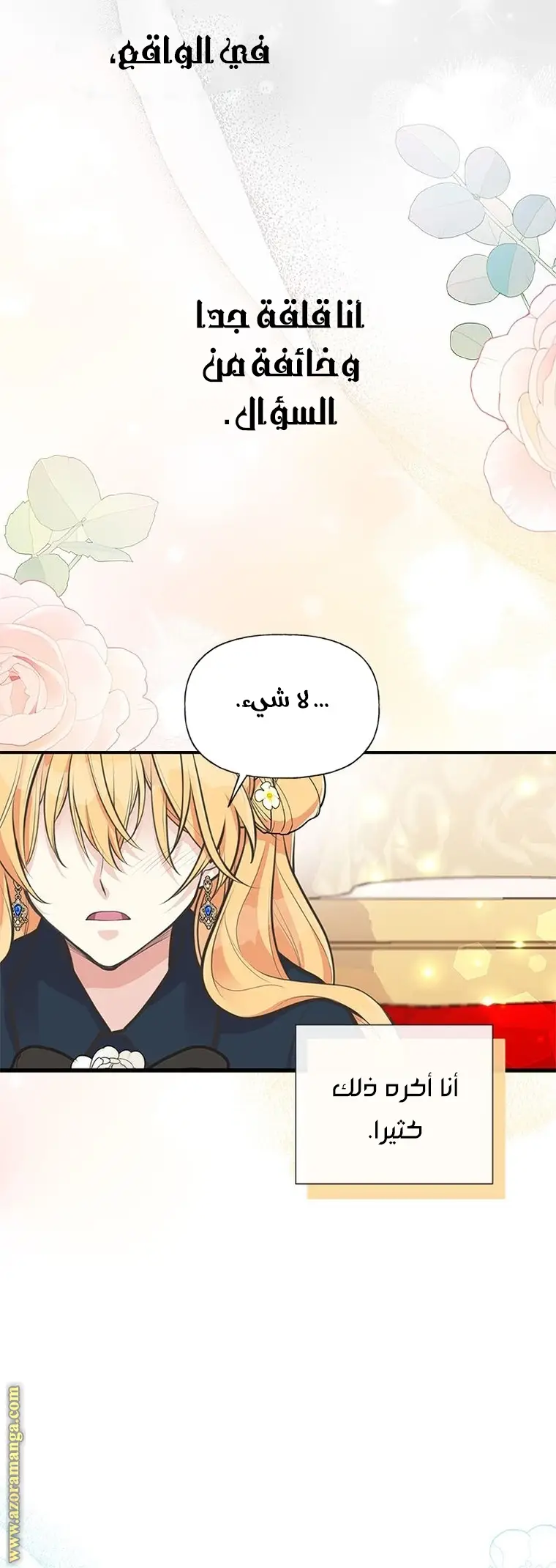 الصفحة 17