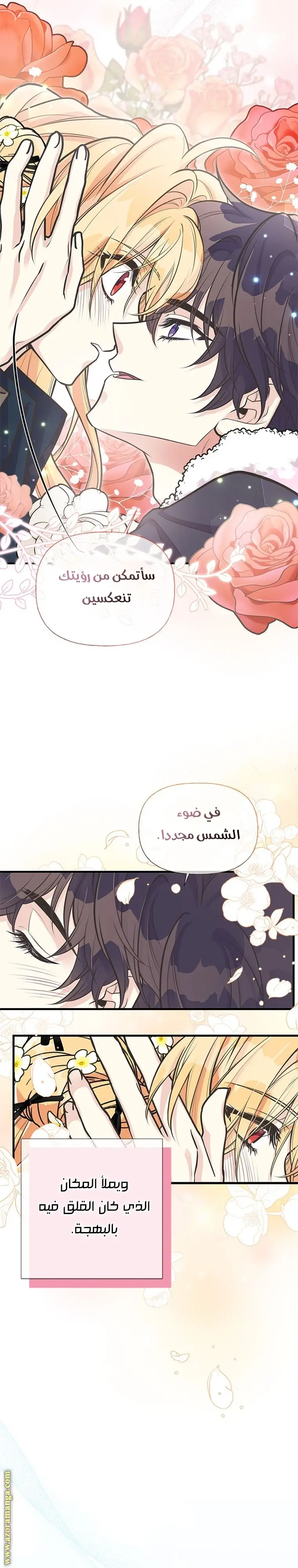 الصفحة 21