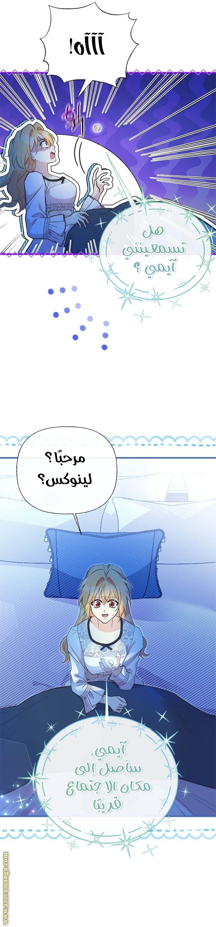 الصفحة 17