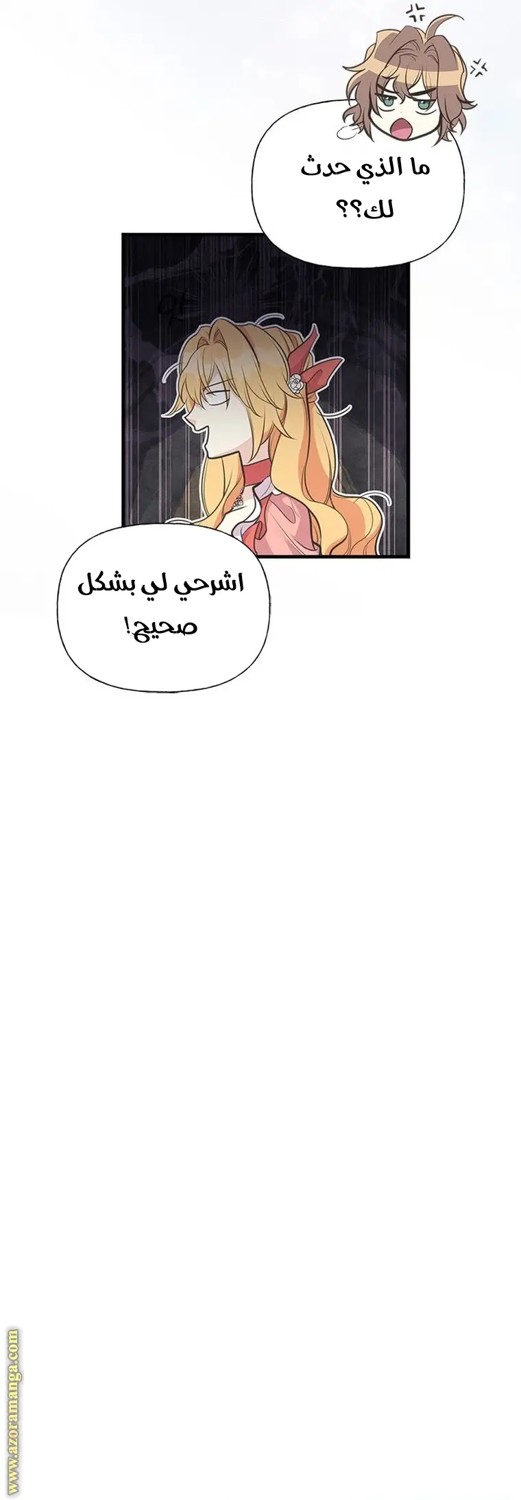 الصفحة 17