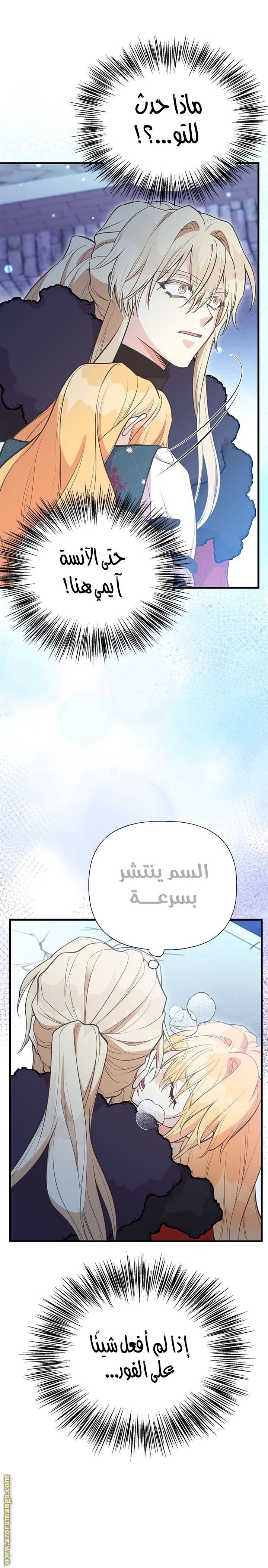 الصفحة 17