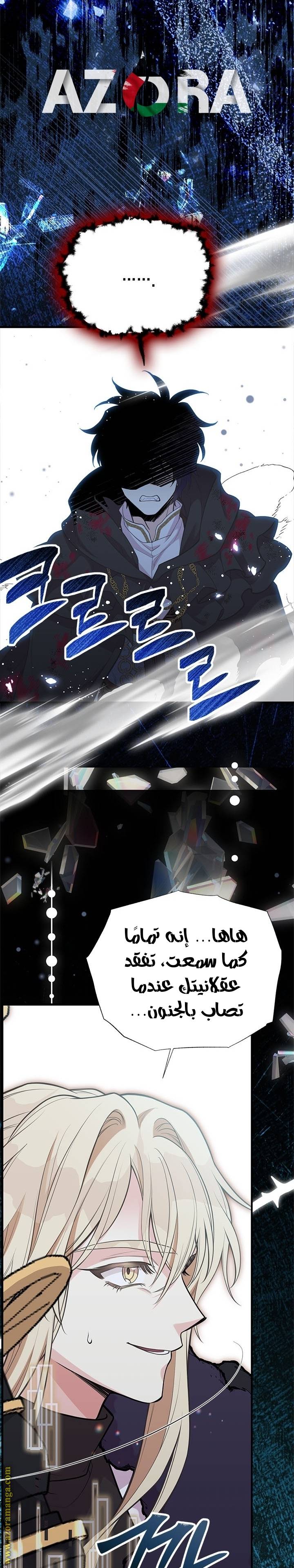 الصفحة 19
