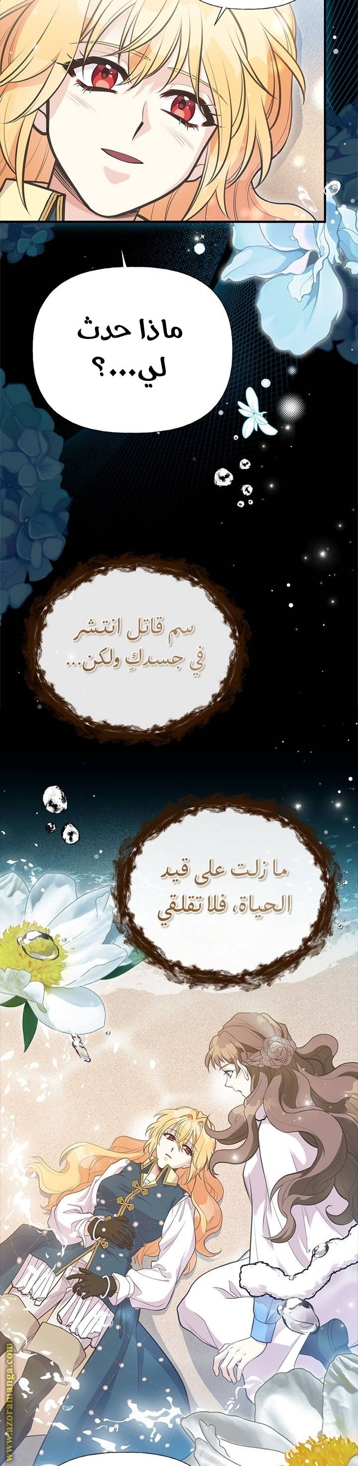 الصفحة 25