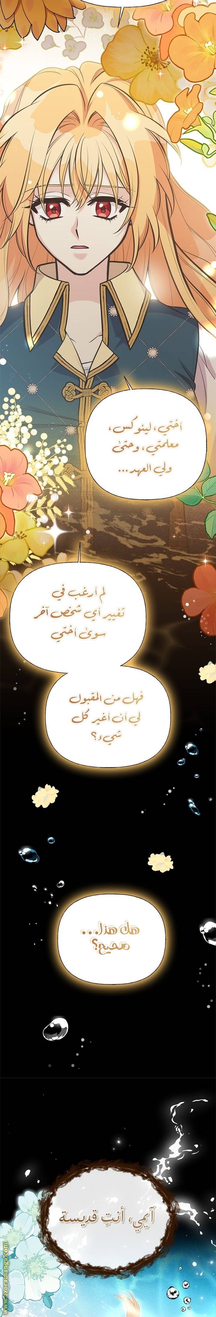 الصفحة 27