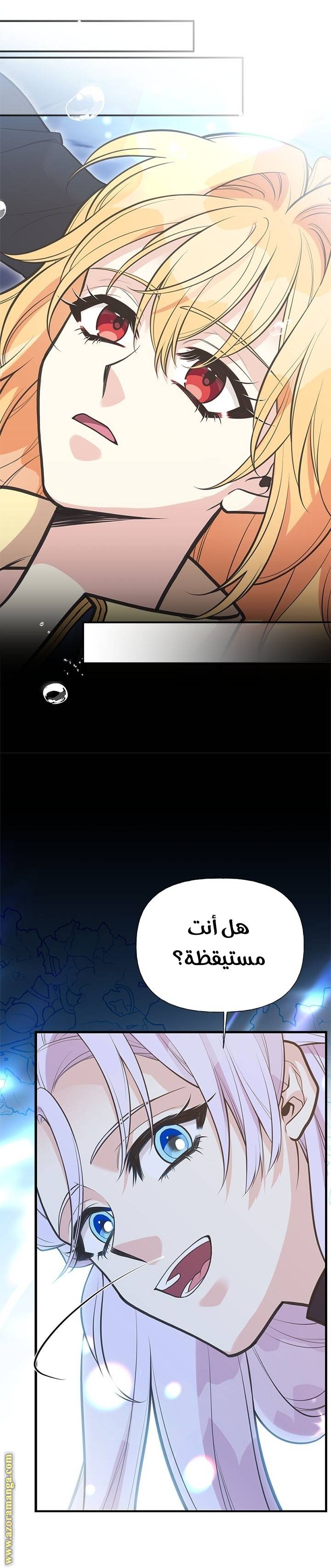 الصفحة 31