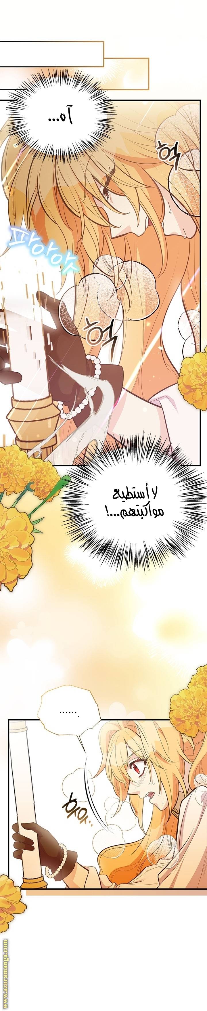الصفحة 21