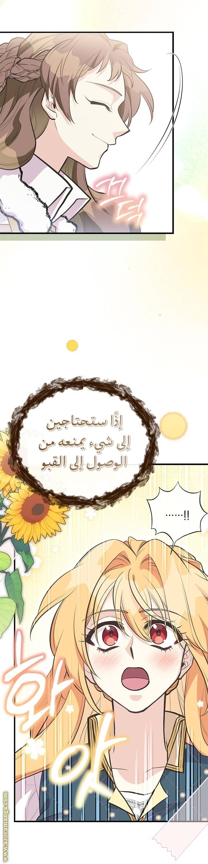 الصفحة 27