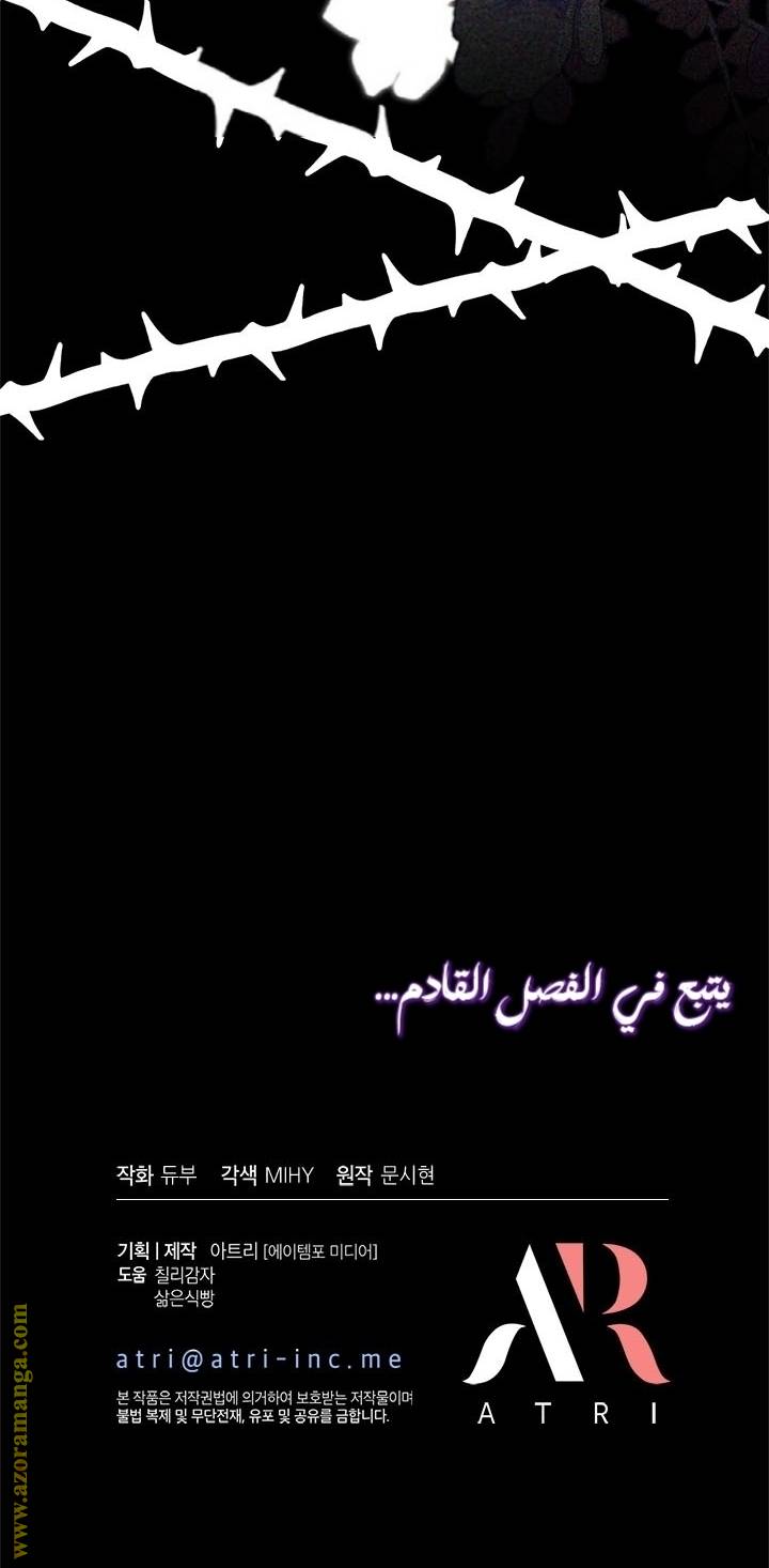 الصفحة 41