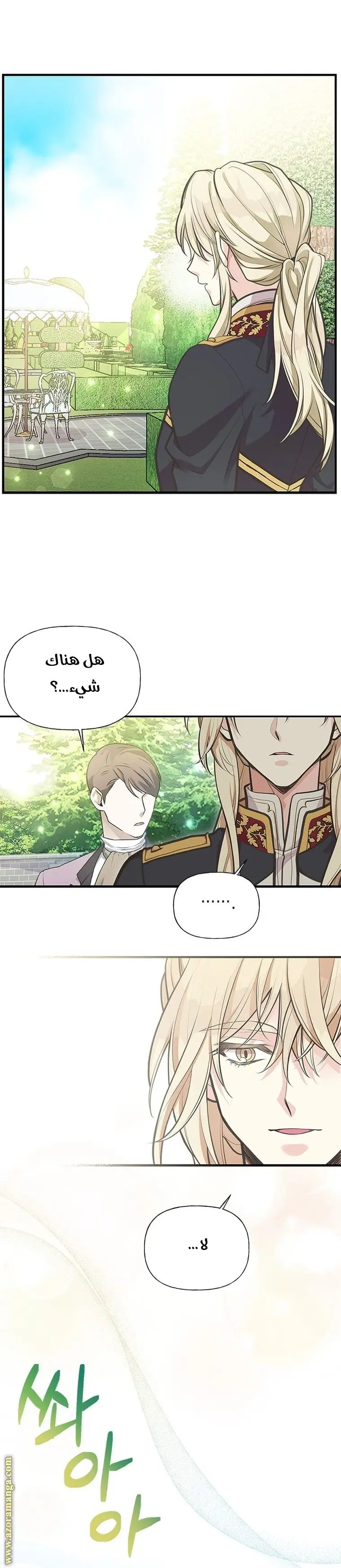 الصفحة 25