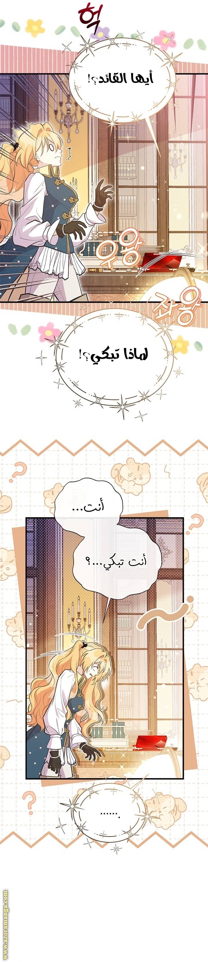 الصفحة 19