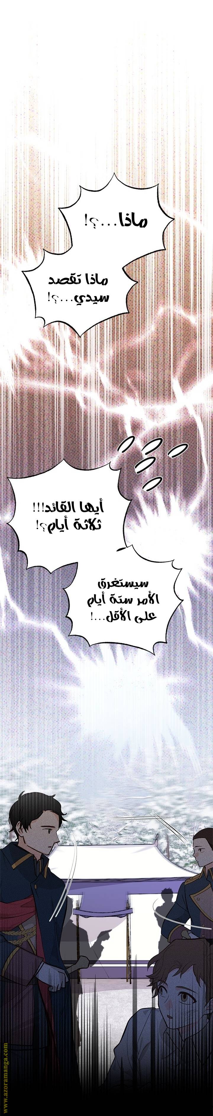 الصفحة 25