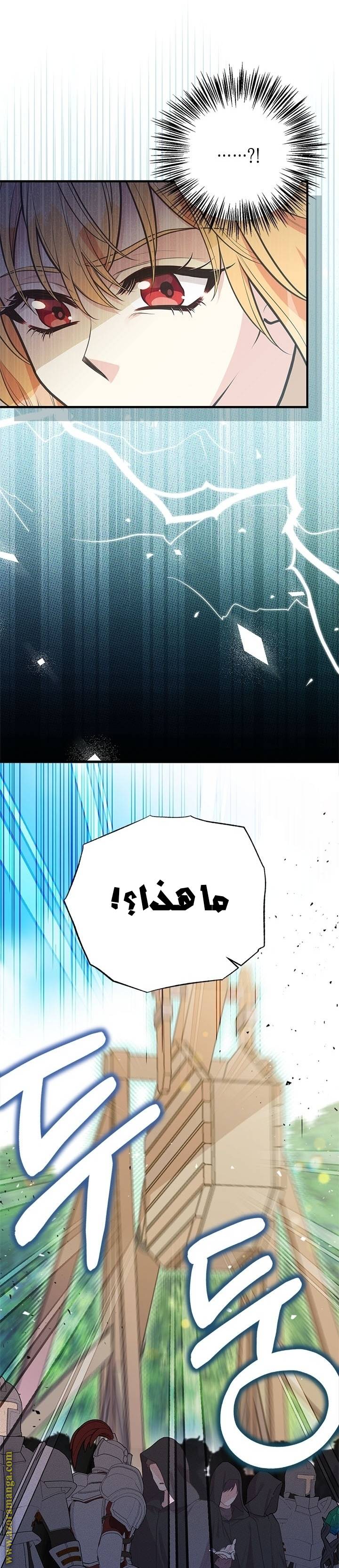 الصفحة 29