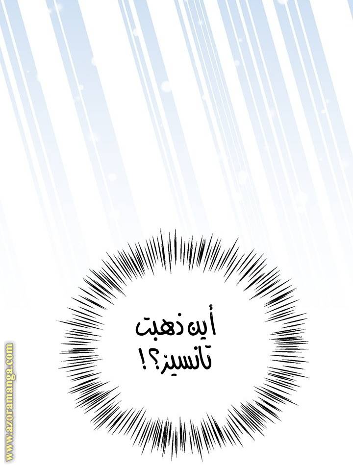 الصفحة 39