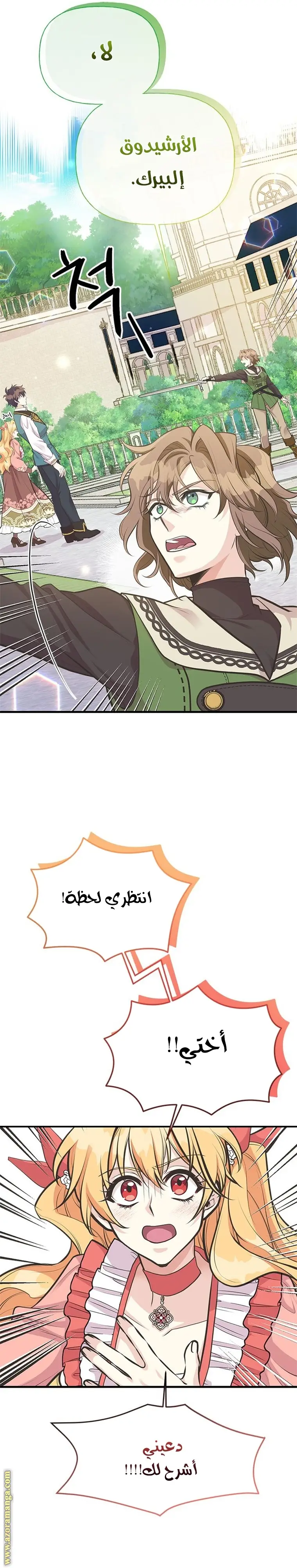 الصفحة 11