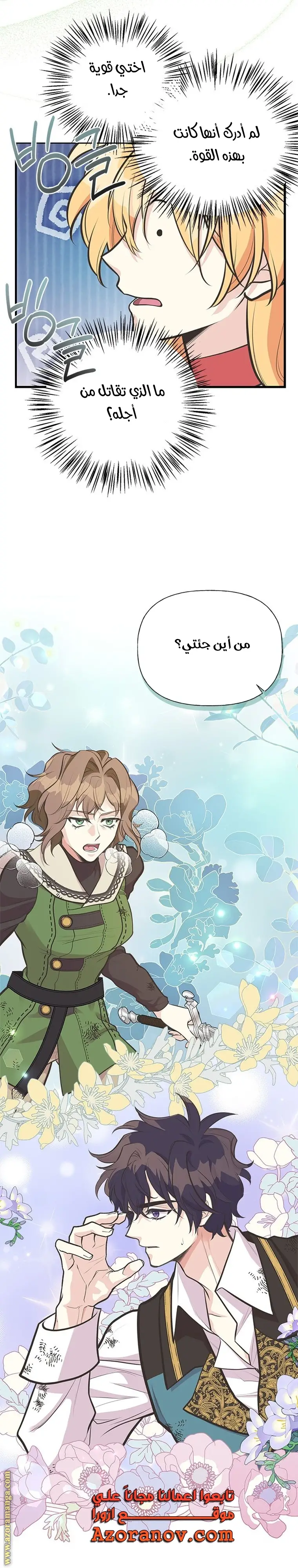 الصفحة 17