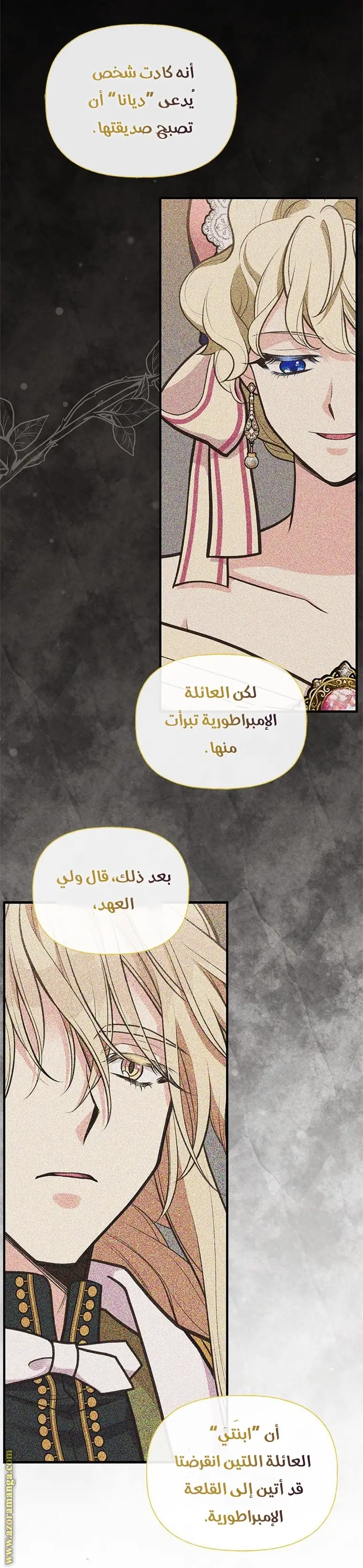الصفحة 25