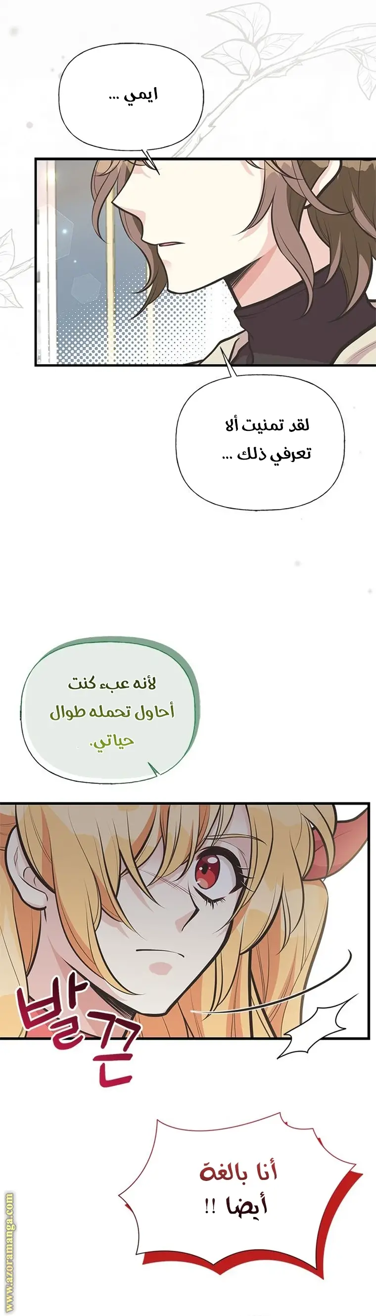 الصفحة 26