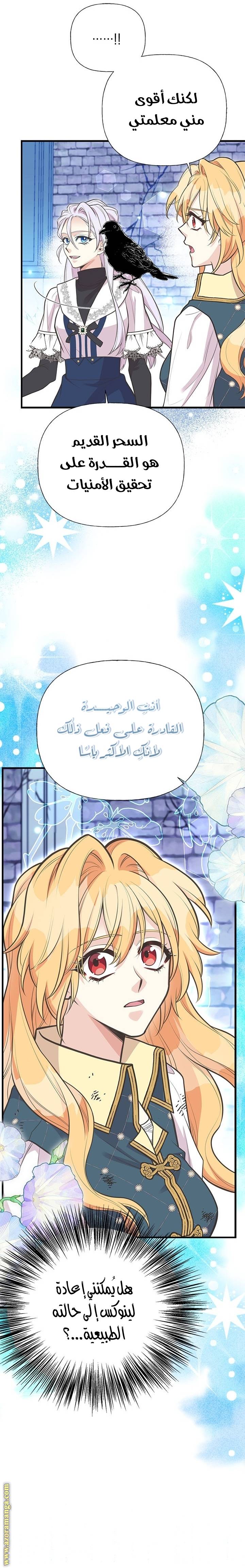 الصفحة 21