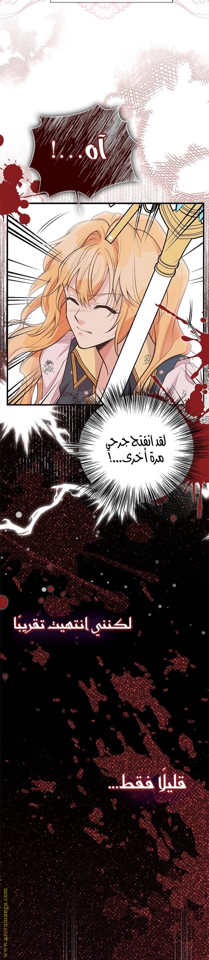الصفحة 27