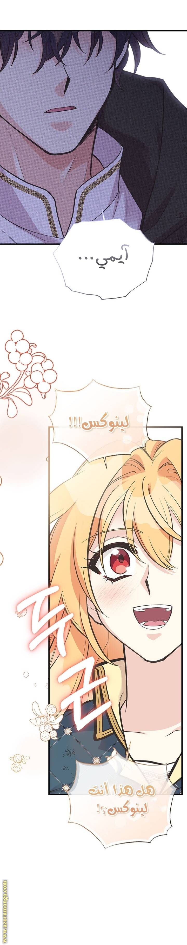 الصفحة 29
