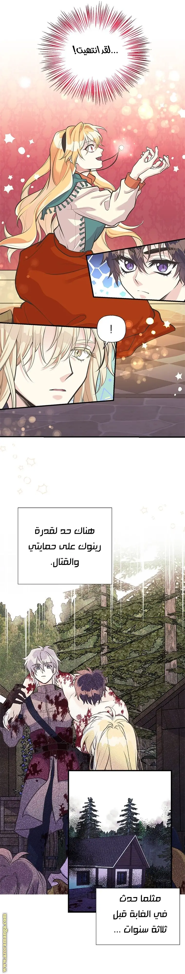 الصفحة 12